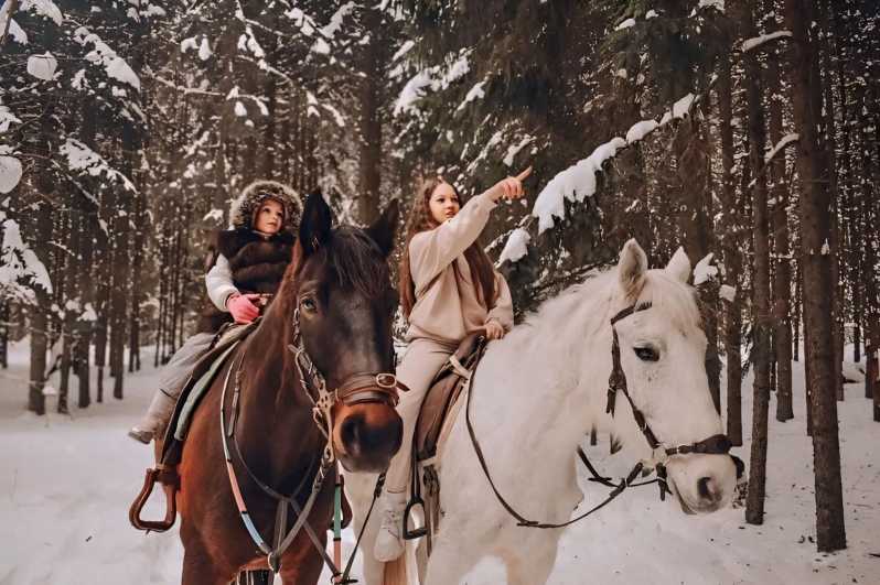Rovaniemi: Winter Horse Riding in Arctic Nature - Key Points