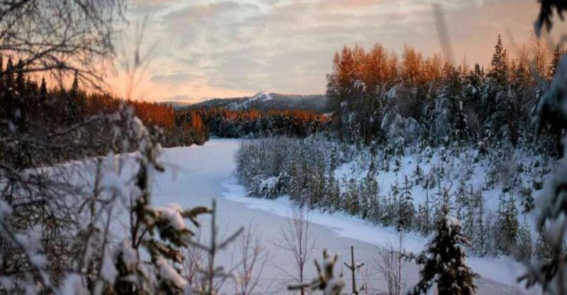 Rovaniemi: Winter Wonderland Vikaköngäs Hike & Barbeque - Key Points