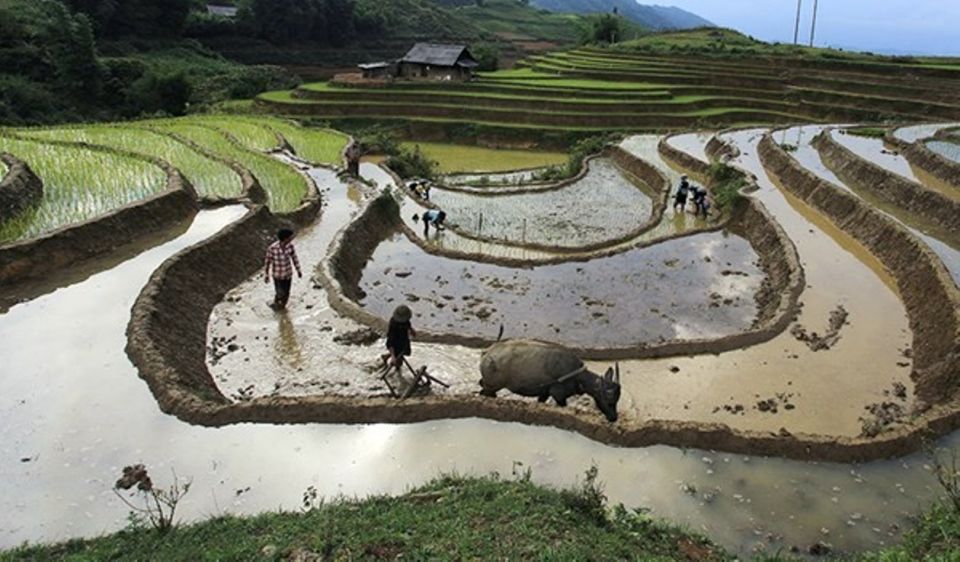 Sa Pa: Muong Hoa Valley Trek and Local Ethnic Villages Tour - Key Points