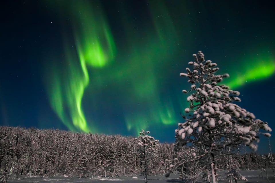 Saariselkä: Northern Lights Hunting Snowshoe Trip - Key Points