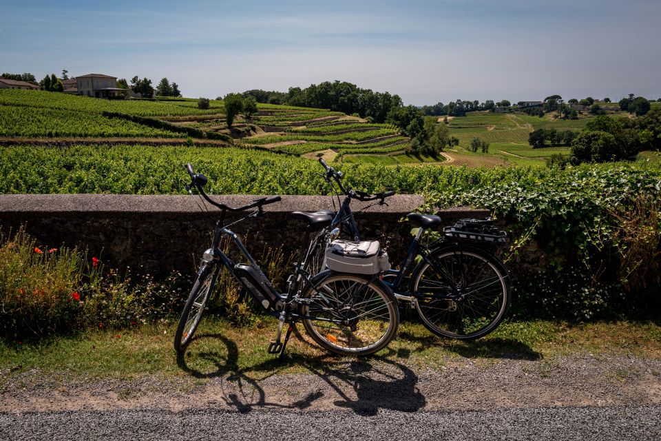 Saint Emilion Half Day Ebike and Wine Tour With Picnic - Key Points