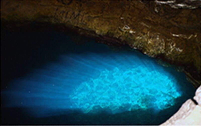 Sal: All-Inclusive Salt Lake, Blue Eye and Shark Bay Tour - Good To Know