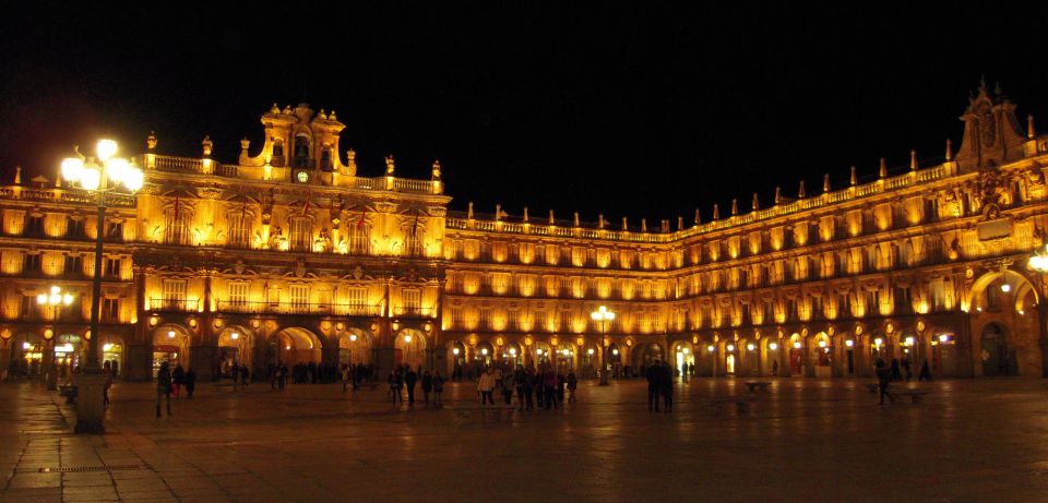 Salamanca: Private Guided Customizable Walking Tour - Key Points