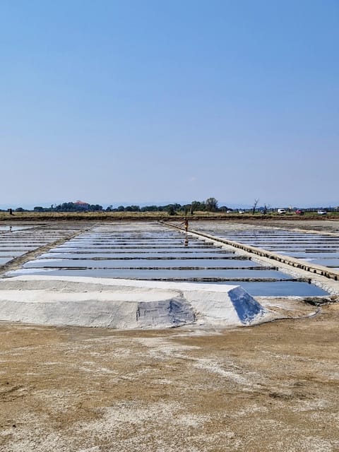 Salina Di Cervia: Traces of a Roman Salt Pan - Key Points