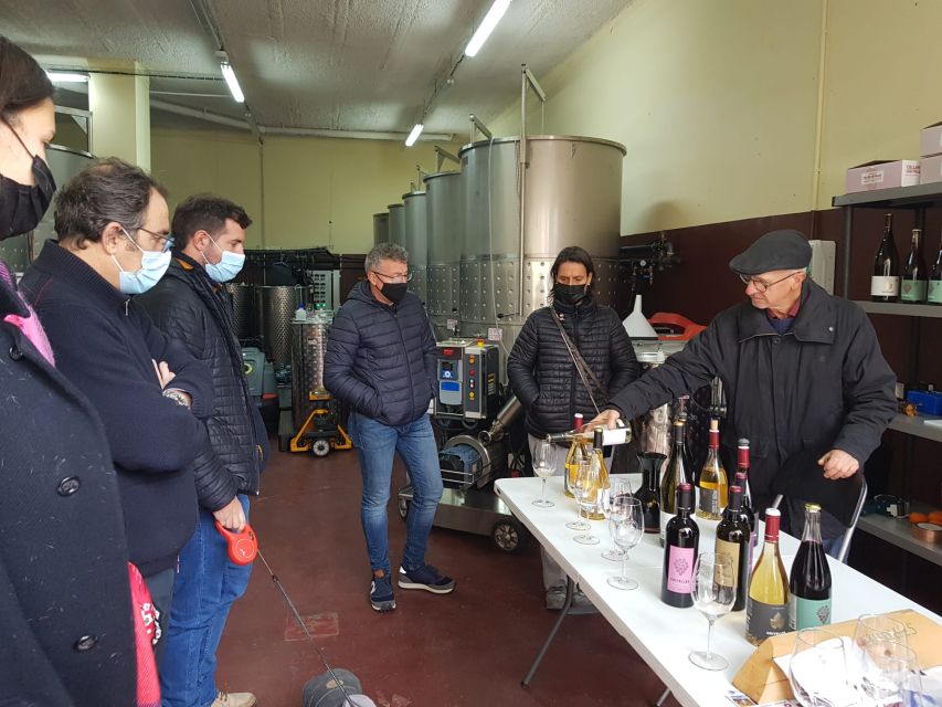 Salou: Priorat Tasting Wine-Cellar Tour With Hotel Pickup - Key Points