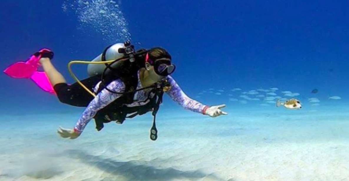 San Andres: SCUBA Diving Experience With Hotel Pickup - Key Points