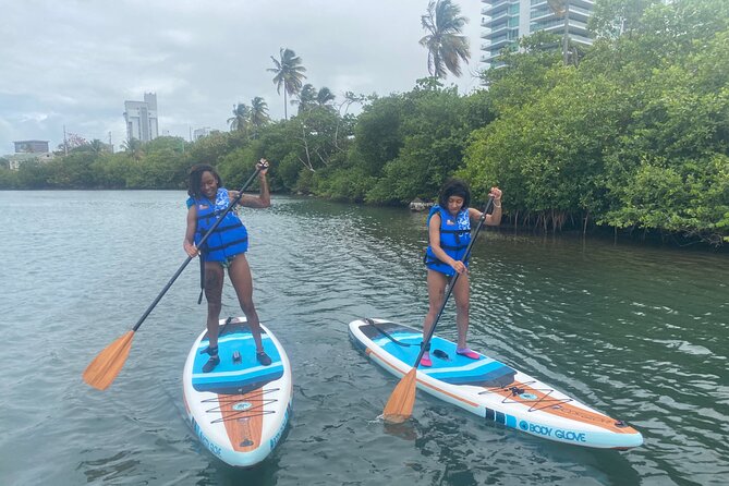 San Juan Guided Paddle Boarding Experience at Condado Lagoon - Key Points