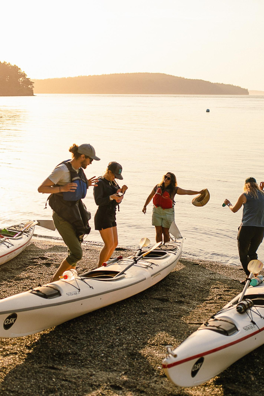 San Juan Island: Full Day Kayaking Tour - Key Points