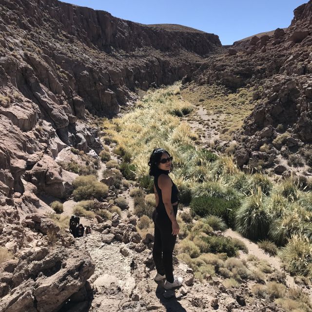 San Pedro De Atacama: Canyon Swimming Pools Trekking Trip - Key Points