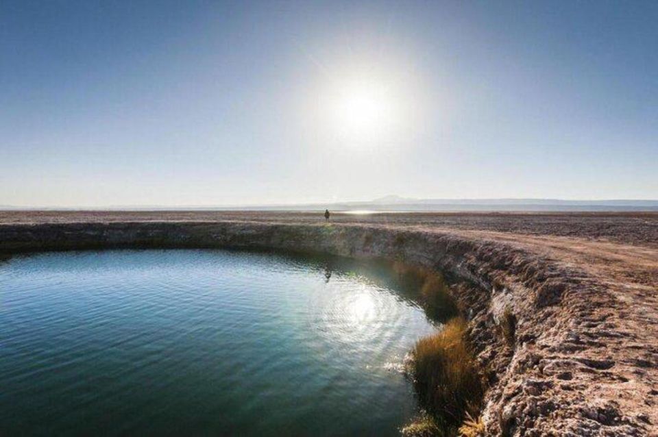 San Pedro De Atacama: Cejar Lagoon and Eyes of the Salar - Key Points