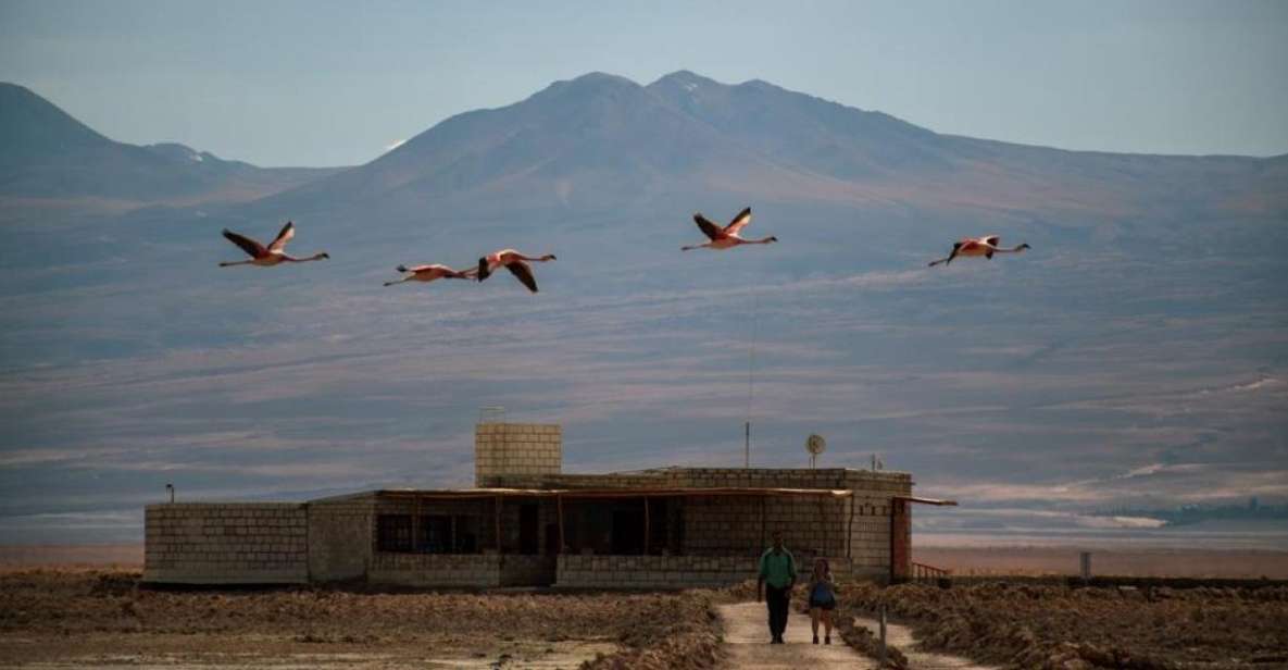 San Pedro De Atacama: Red Rocks and Aliplanic Lagoons - Key Points