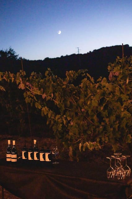 San Quirico: Goblets at Sunset Experience - Key Points