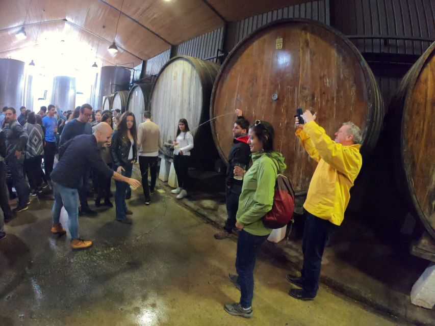 San Sebastián: Unique and Fun Basque Cider Culture Tour - Key Points