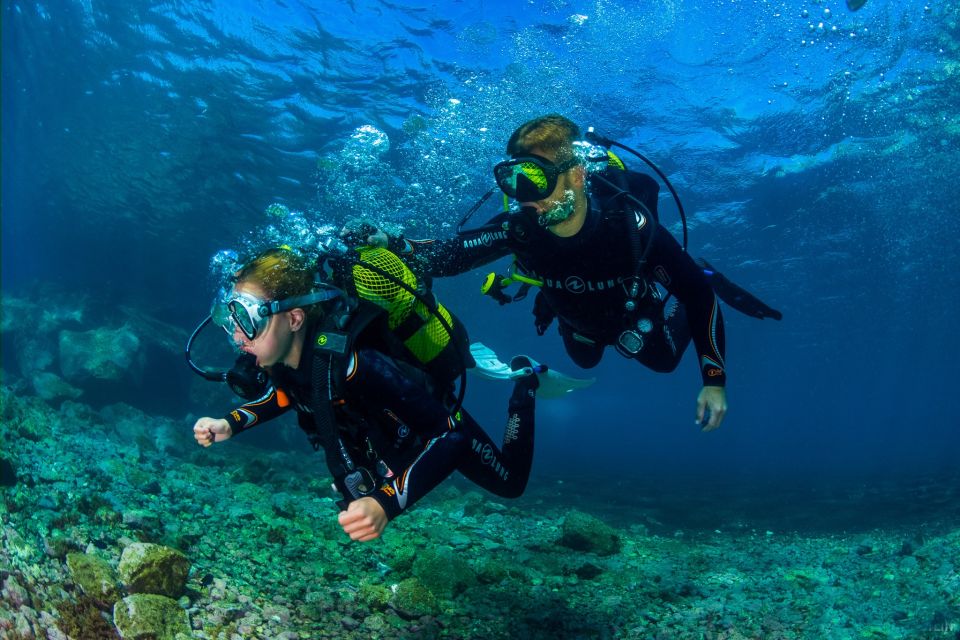 Santa Cruz De Tenerife: Beginners Diving & Introduction - Key Points