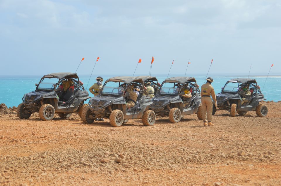 Santa Maria: Desert Adventure on a 500cc or 1000cc Buggy - Good To Know