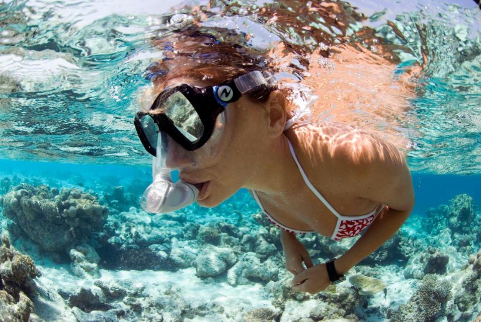 Santa Maria: Guided Snorkeling Shipwreck and Reef Tour - Good To Know