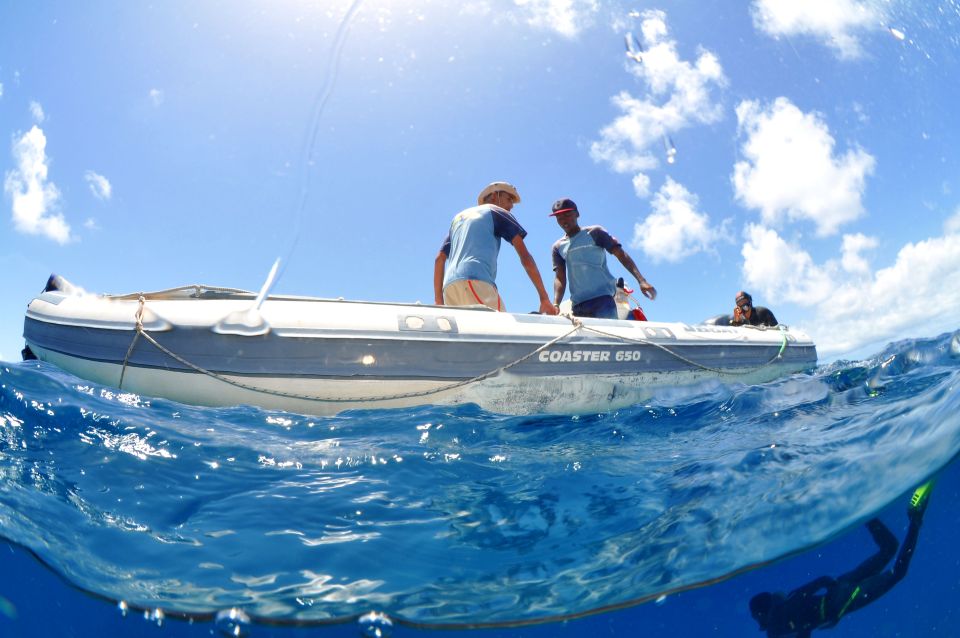 Santa Maria: Review Diving Course With 2 Guided Dives - Good To Know