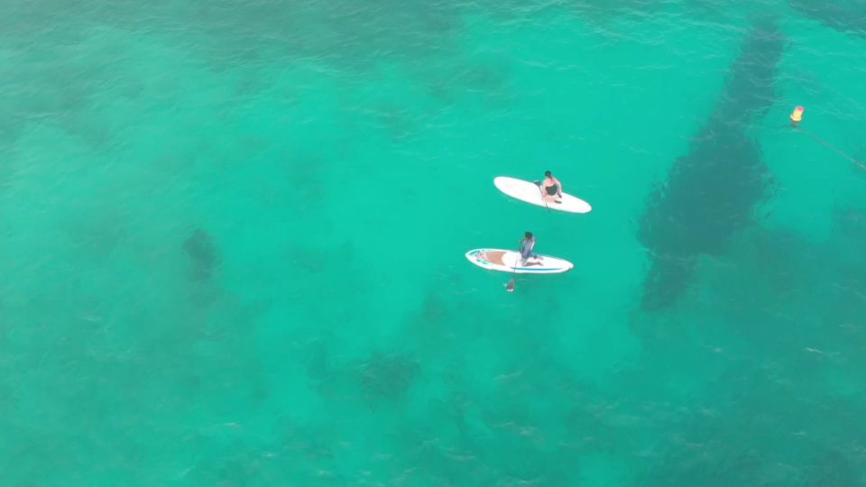 Santa Maria: Stand-Up Paddle Tour - Good To Know