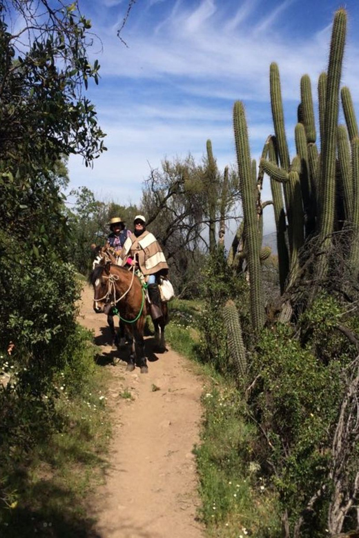 Santiago: Half-Day Private Andean Foothills Horseback Riding - Key Points