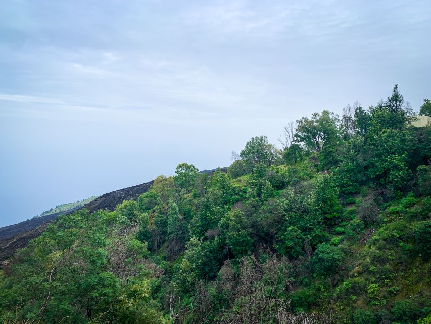 Sao Filipe: Coffee Plantation and Natural Pools Day Trip - Good To Know