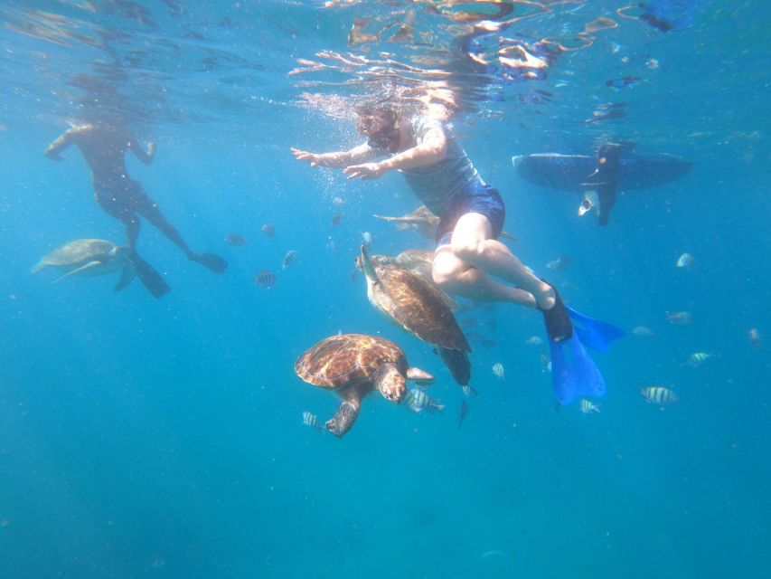 Sao Vicente: Snorkeling With Turtles Breathtaking Experience - Good To Know