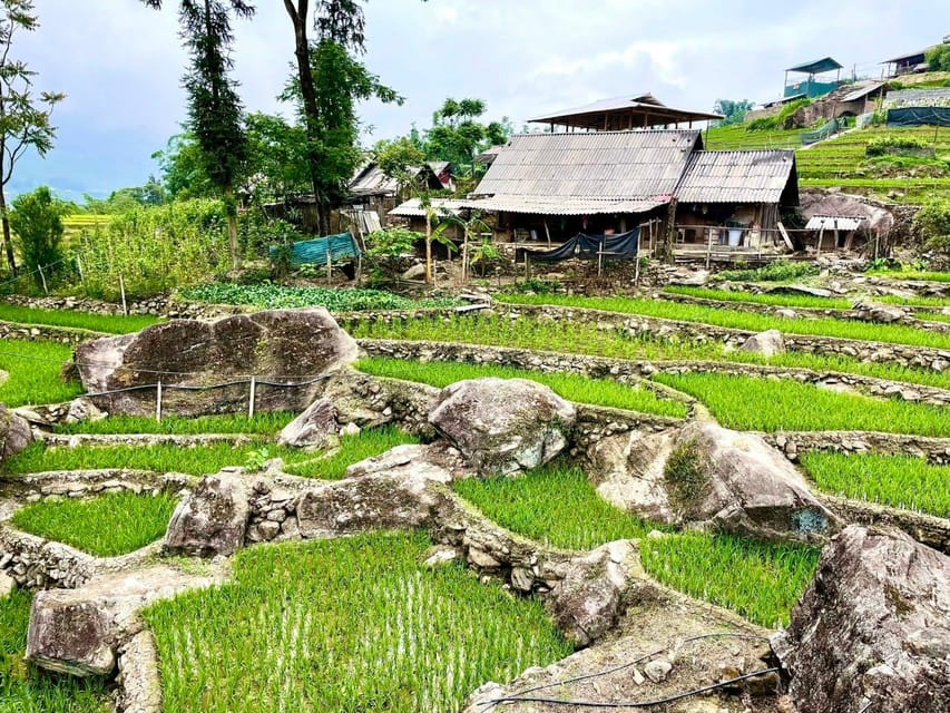 SAPA 2 DAY Trekking & 1 Night Homestay With LOCAL PEOPLE - Key Points