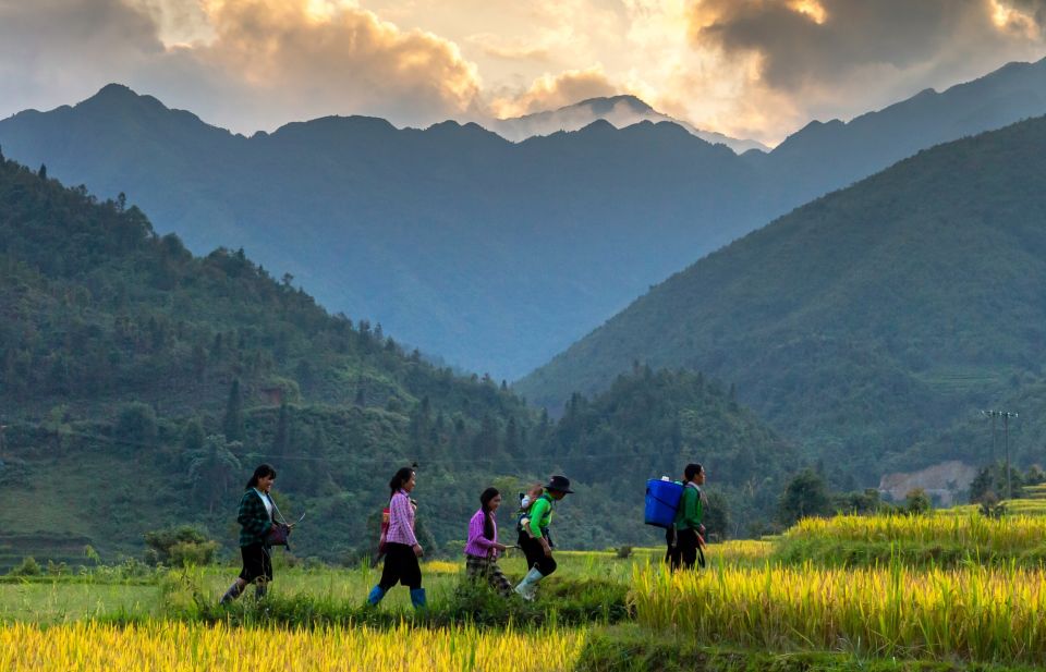 Sapa 2-Days Trek Tour - Stay Sapa Homestay - Key Points