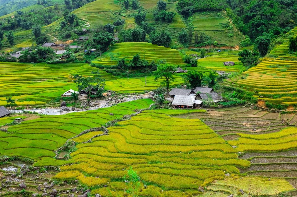 Sapa Beautiful Rice Field, Village - Easy Walking Kid,Senior - Key Points