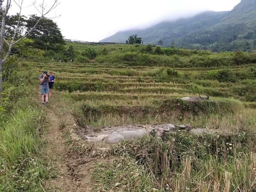 Sapa: Full-Day Private Muong Hoa Valley Tour - Key Points