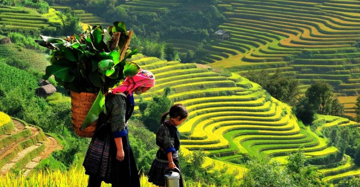 Sapa: Guided Full-Day Trekking Muong Hoa Valley With Lunch - Key Points