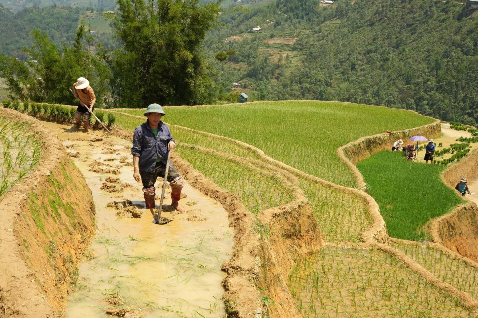 Sapa Hard Trekking Villages and Homestay 2 Days 1 Night Trip - Key Points