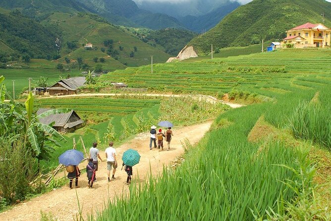 Sapa Most Beautiful Day Tour (Y Linh Ho - Lao Chai - Ta Van) - Tour Overview