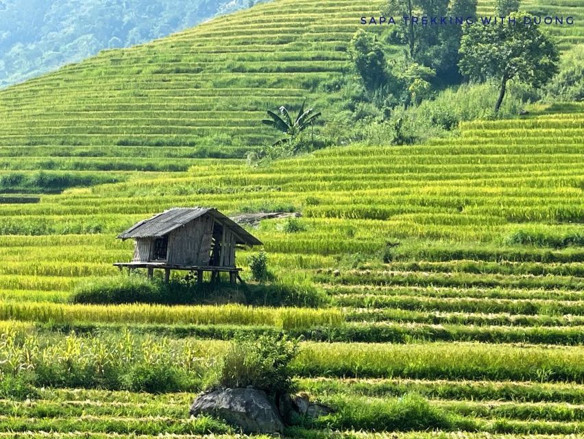 Sapa: Private Muong Hoa Valley and Homestay Trekking 2-Day - Key Points