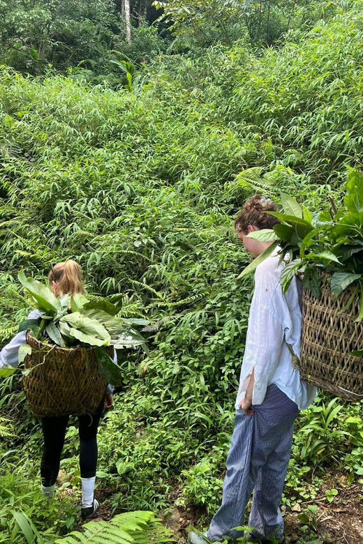 Sapa: Real Local Life of Dao People: Herbal Bath, Local Food - Key Points