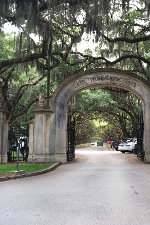 Savannah: Best of the City Tour With Wormsloe Historic Site - Highlights of the Itinerary