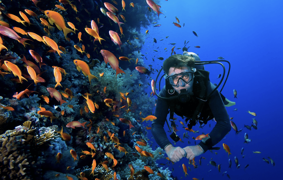 Scuba Dive in Big Wall (Vietnam) - Dive Experience