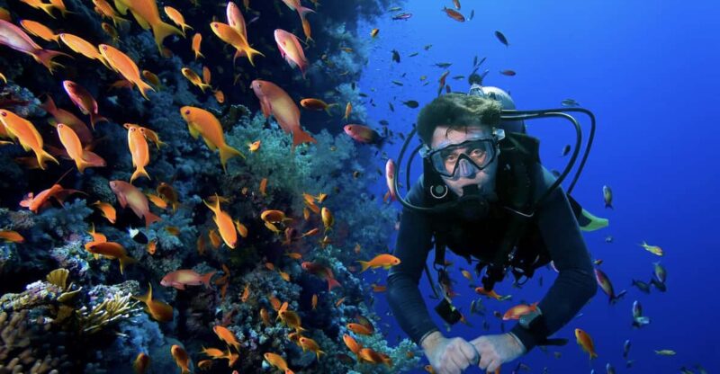 Scuba Dive in Blue Corner - Key Points