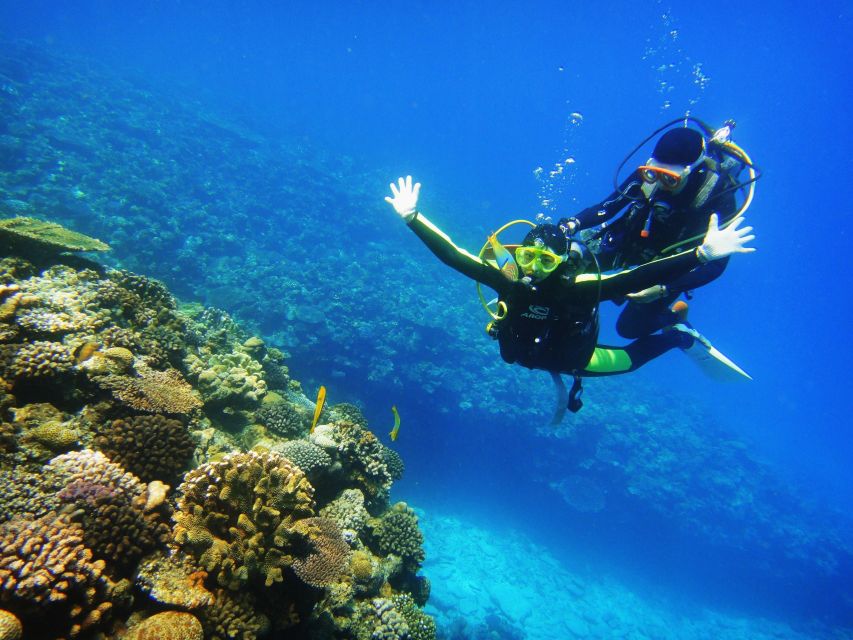 Scuba Diving 3 Islands Nha Trang Tour - Key Points