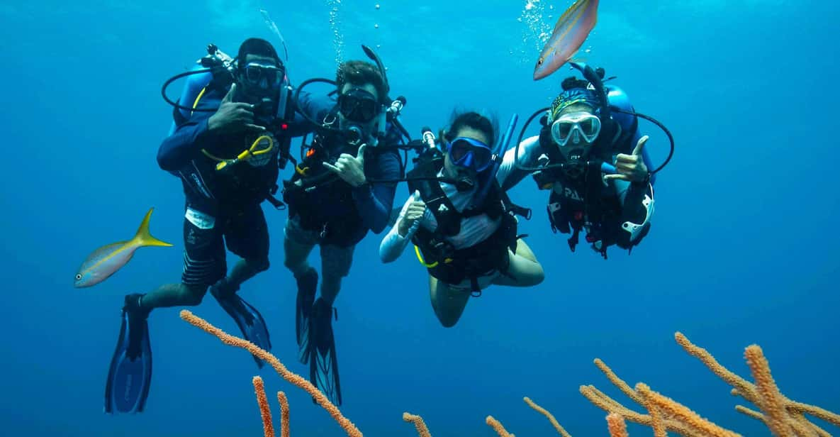 Scuba Diving Experience for Beginners In Greece - Good To Know