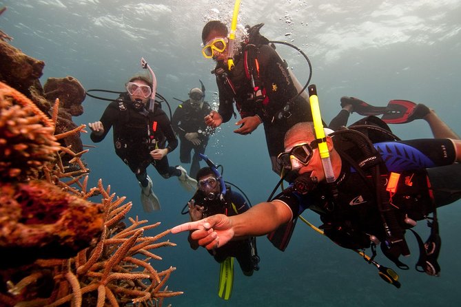 Scuba Diving For Beginners - Good To Know