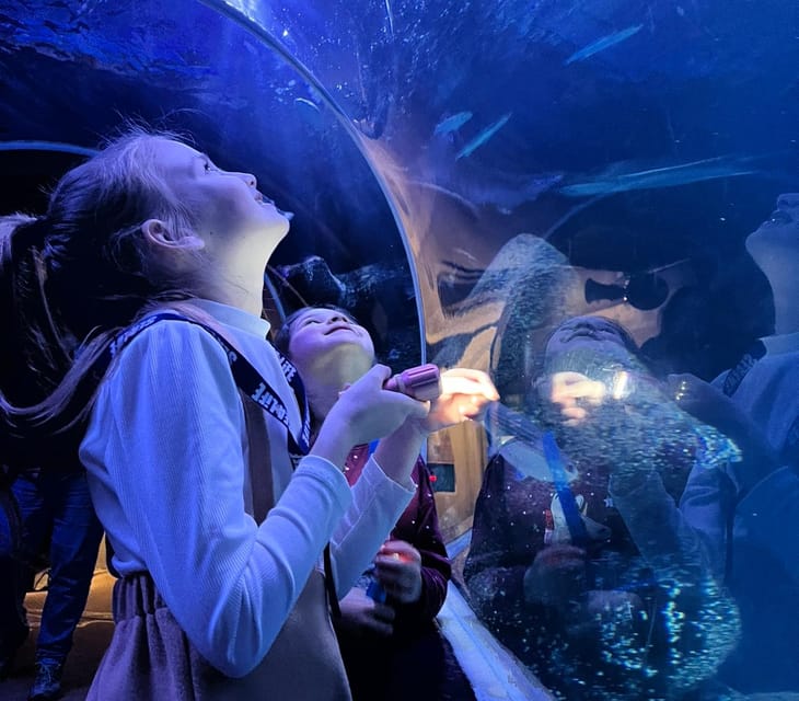 SEA LIFE Berlin Flashlight Tour | Travel Buddies