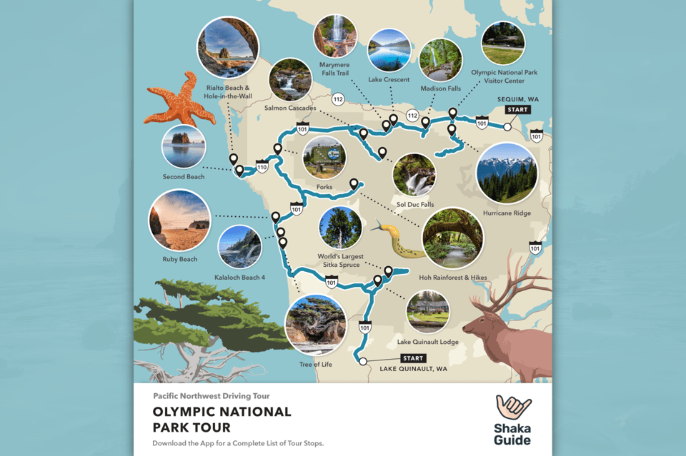 Self-Guided Olympic National Park Audio Tour Guide - Overview and Pricing