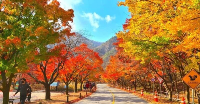 Seoul: Classic Naejangsan National Park One Day Tour - Itinerary and Experience