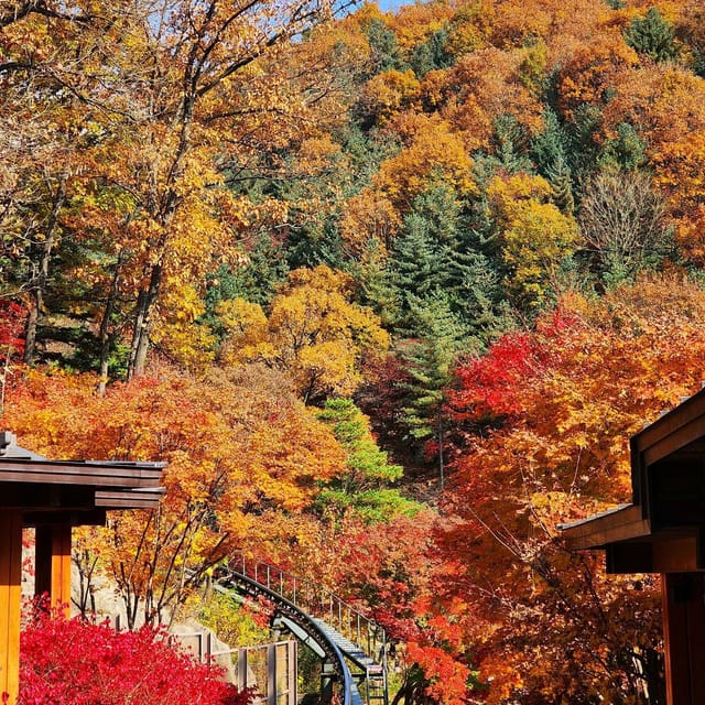 Seoul: Hwadam Forest & Namhansanseong & Folk Village Tour - Key Points