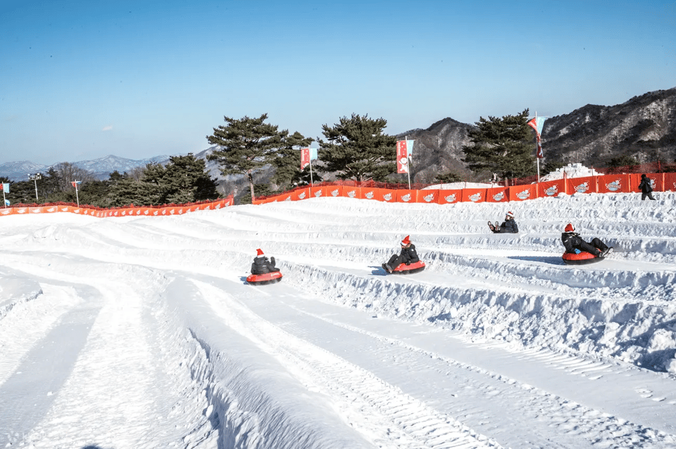 Seoul: Snowyland in Vivaldi Park With Nami or Alpaca - Key Points