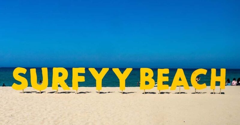 Seoul: Yangyang Surfyy Beach One Day Tour From Seoul - Key Points