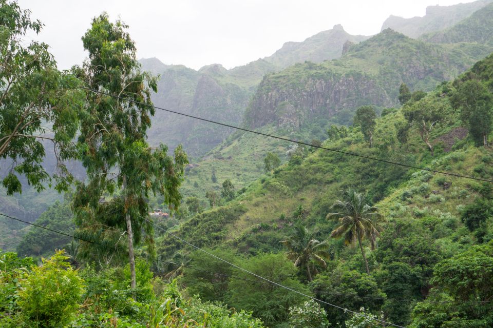 Serra Malagueta Natural Park: Hike to Gongon Valley & Lunch - Good To Know