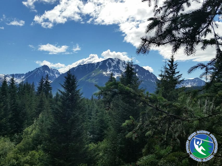 Seward: Stoney Creek Canopy Tour With Zipline - Key Points