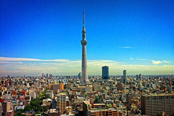 Shared Arrival Transfer : Narita International Airport to Hotel (Central Tokyo) - Good To Know