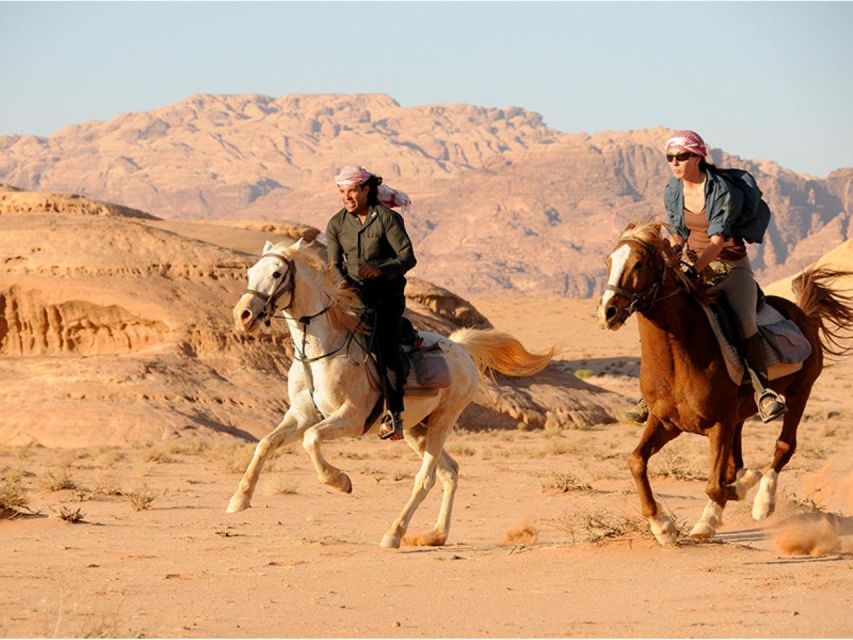 Sharm: Arabian Adventure Horse Ride & Camel Ride W Breakfast - Good To Know